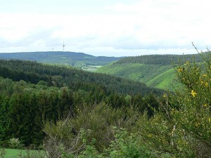 Wacholderwanderweg