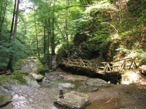 Ehrbachklamm