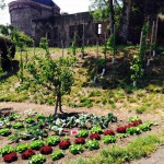essbare Stadt