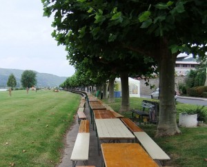Leutesdorfer-Weinpicknick-300x242