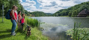 Traumpfädchen Riedener Seeblick